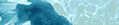 Fish.Net
